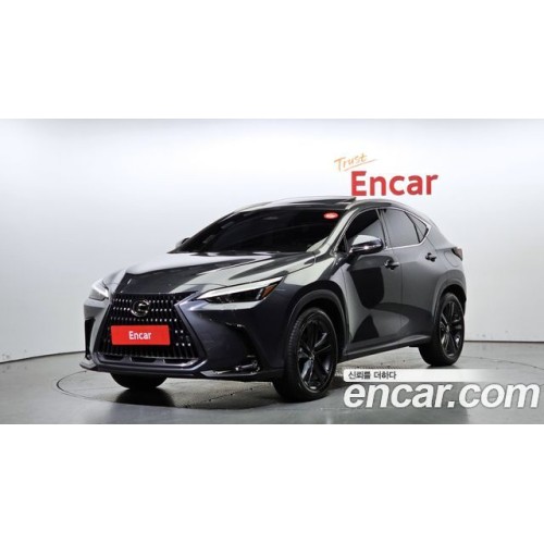 Lexus Nx 2024 г.