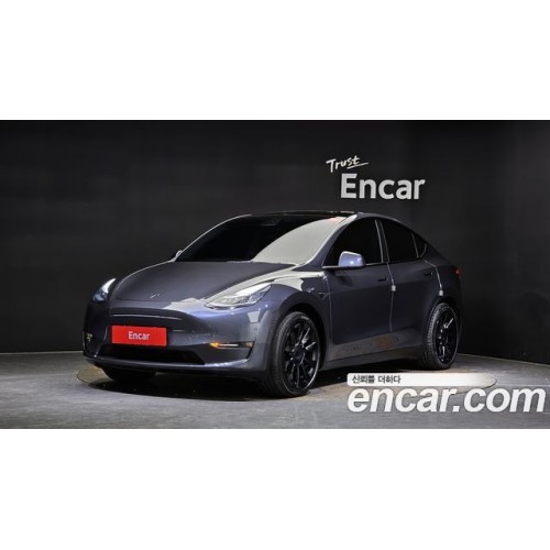 Tesla Model Y 2021 г.