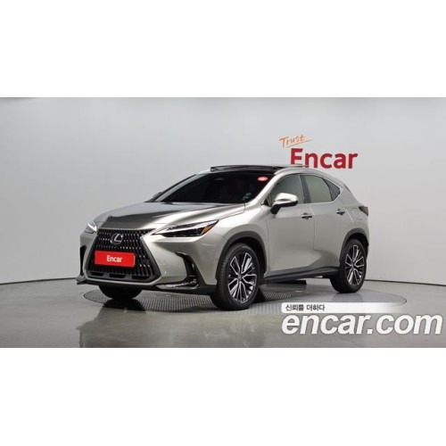 Lexus Nx 2024 г.