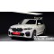 BMW X5 2021 г.